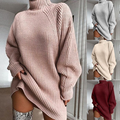 Women Turtleneck Sweater Dress