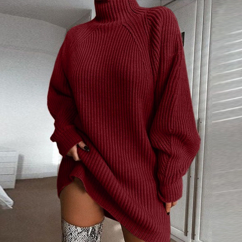 Women Turtleneck Sweater Dress