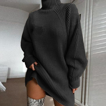 Women Turtleneck Sweater Dress