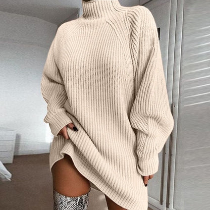 Women Turtleneck Sweater Dress