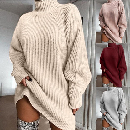 Women Turtleneck Sweater Dress
