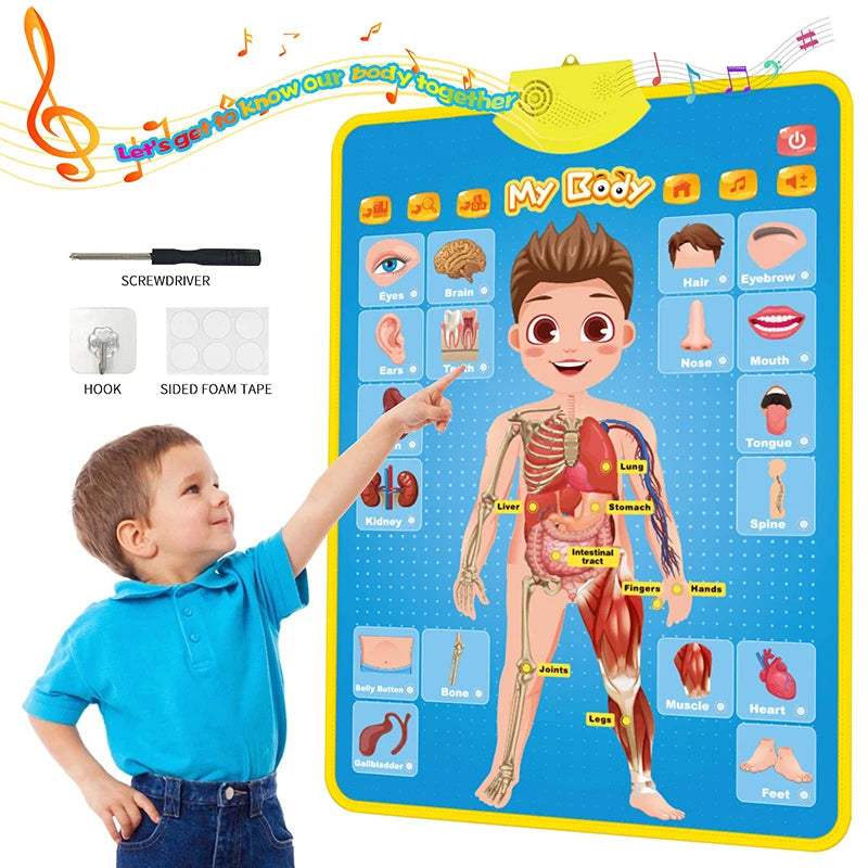 Electronic English Alphabet Wall Chart Talking ABC Letters 123s Music Poster