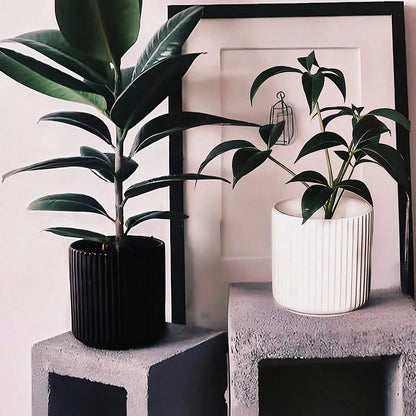 Striped Circular Plastic Flower Pot, Simple Design Planter Suitable For Indoor/Outdoor Decoration