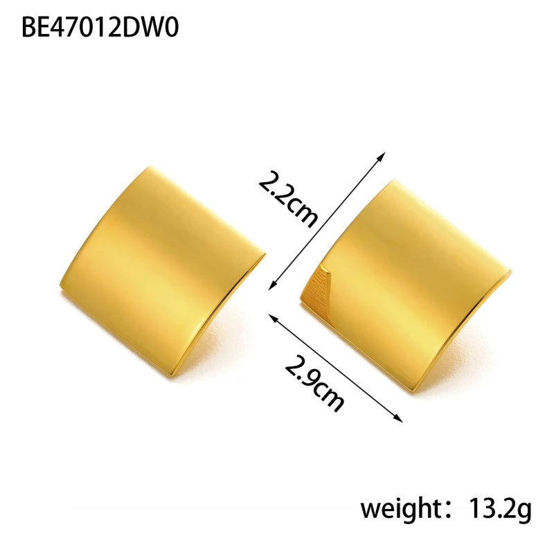 CARLIDANA Stainless Steel Chunky Texture Hoop Earrings Jewelry for Women Gold Plated